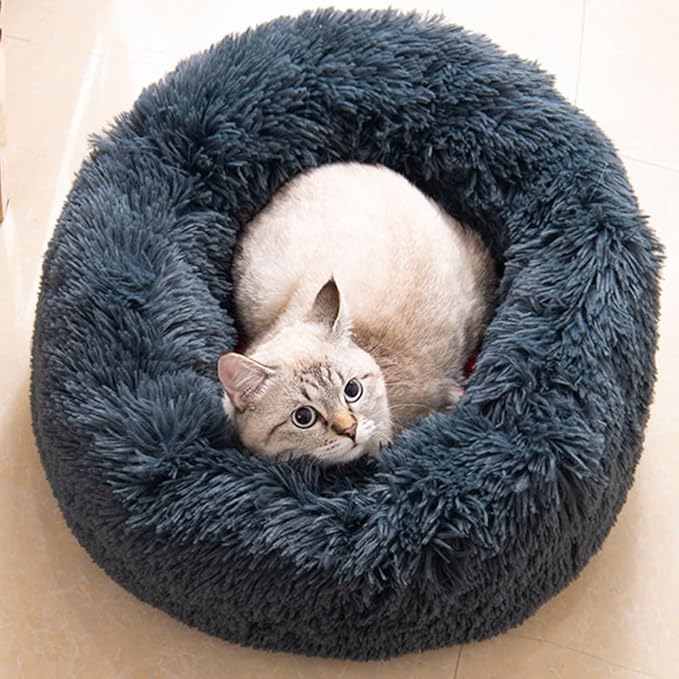 Cat Beds for Indoor Cats by Unknown