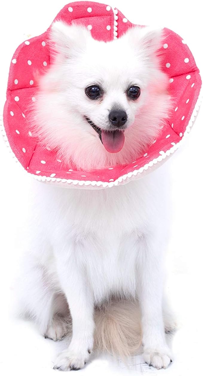 Adjustable Dog Cat Cone, Soft Recovery Cat Cone Collar, Dog Protective Collar by WZPET