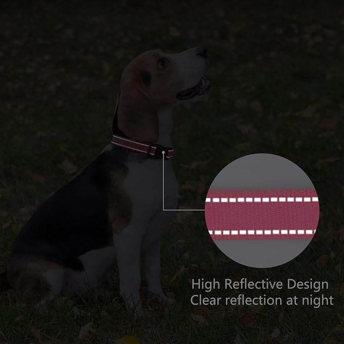 Reflective Dog Collar Padded - Image 5