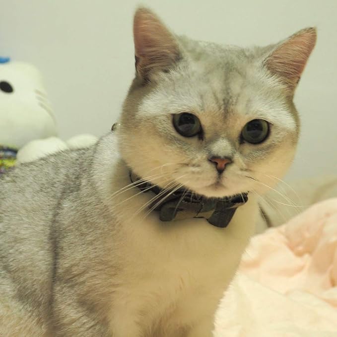 Cat Collar Bowtie with Bell, Quick Release Buckle Safety and Durable Kitties - Image 2