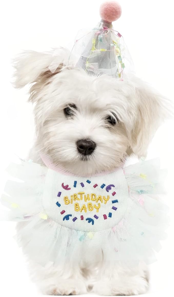 2 PCS Cat Doggy Party Hat & Bib Set - Image 4