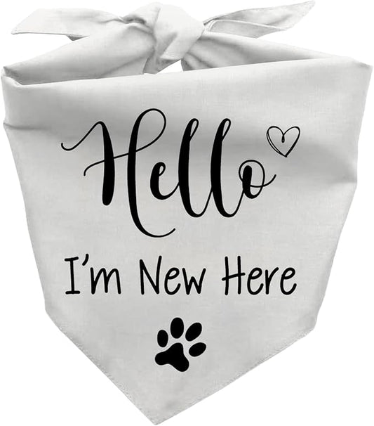 Hello I'm New Here Dog Bandana, New Puppy Reveal Party Photo Prop, Cute New by Joyriza