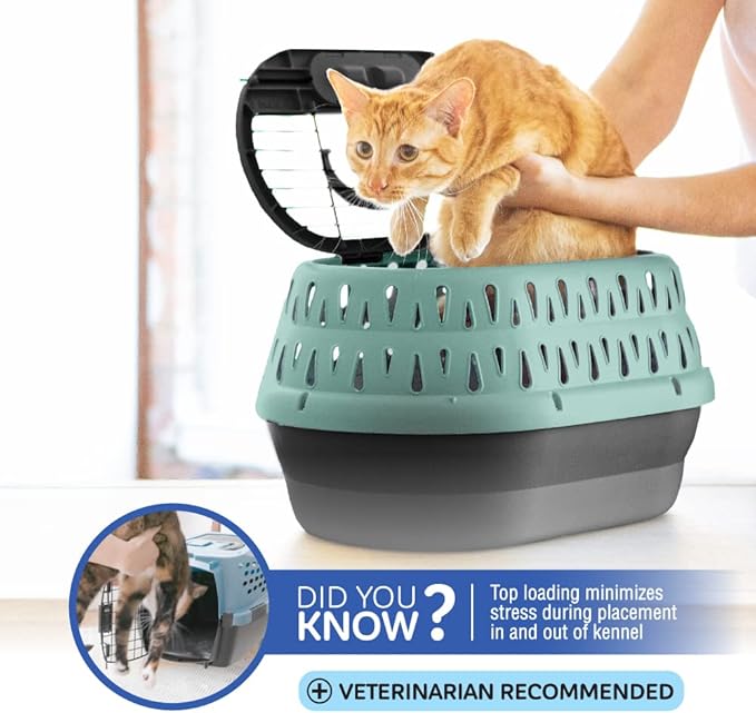 Petmate Top Load Plastic Cat Kennel - Image 4