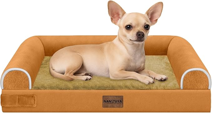 Small Dog Bed Orthopedic Washable: Beds Bolster Small Sized Dogs Bed Egg Crate by Nanuya
