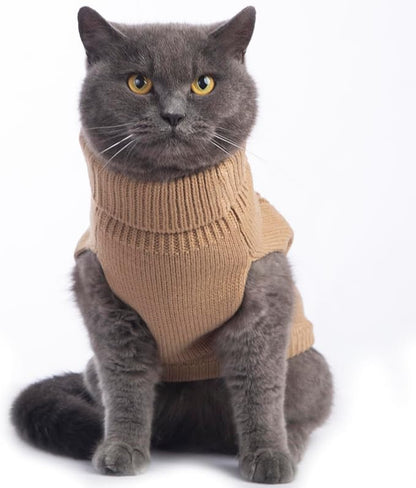 Stretchy Cat Sweater - Image 3