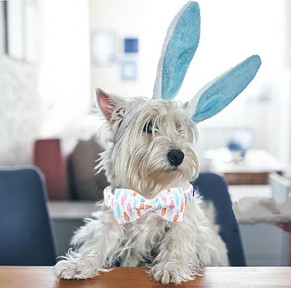 Lionheart glory Easter Dog Collar - Image 4