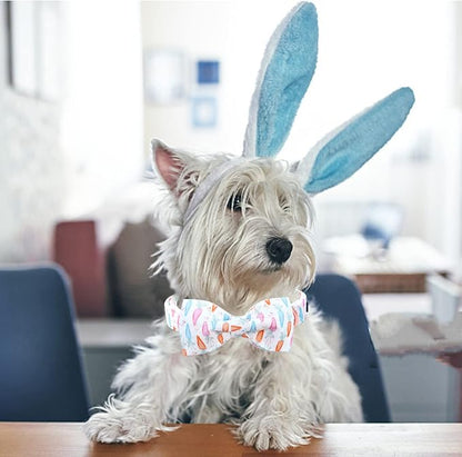 Lionheart glory Easter Dog Collar - Image 4