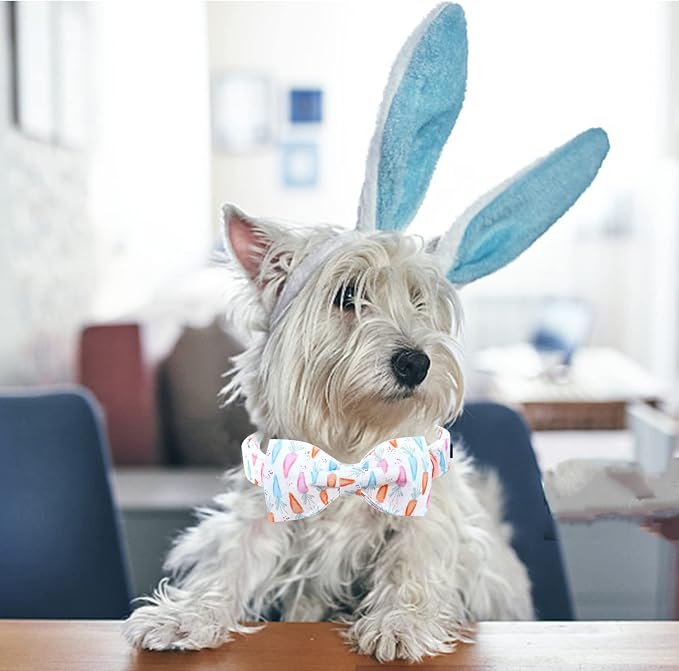 Lionheart glory Easter Dog Collar - Image 4