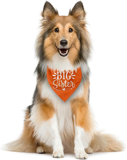 Big Sister Dog Bandana, Big Sister Bandana - Image 3