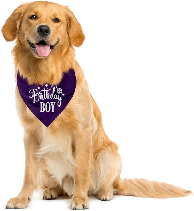 Birthday Boy Dog Bandanas, Dog Birthday Bandana, Birthday Bandana - Image 4