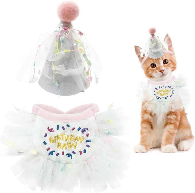 2 PCS Cat Doggy Party Hat & Bib Set by Unknown