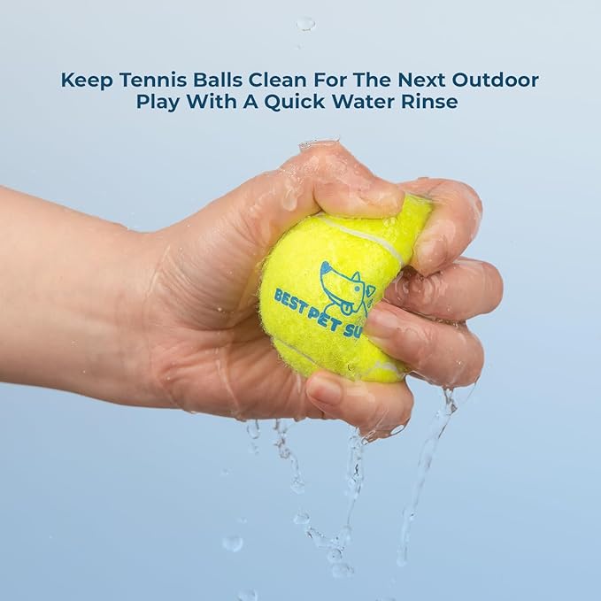 Best Pet Supplies Interactive Squeaky Dog Chew Toy, Ideal Dog Toys - Image 4