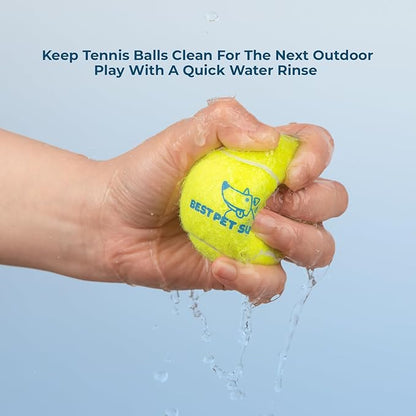 Best Pet Supplies Interactive Squeaky Dog Chew Toy, Ideal Dog Toys - Image 4