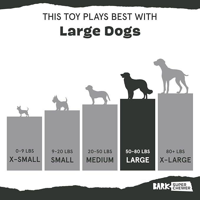 Barkbox Super Chewer Tough Dog Chew Toys - Image 6