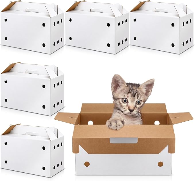 6 Pack Cardboard Pet Carrier 17.5 x 8.66 x 12.2 Inches Small Animal White Puppy by Gilprop