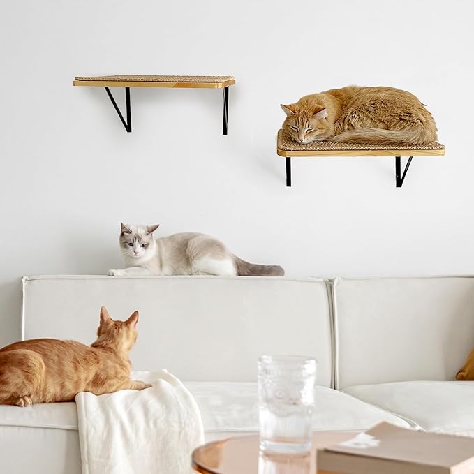 2Pack Wooden Cat Wall Shelves - Image 4