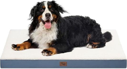 Dog Beds for Large Dogs, Comfort Orthopedic Dog Bed for Extra Large Dogs by TailStories