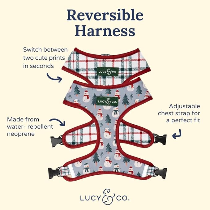 Lucy & Co. Cute Reversible Dog Harness Walking Halter - Image 4