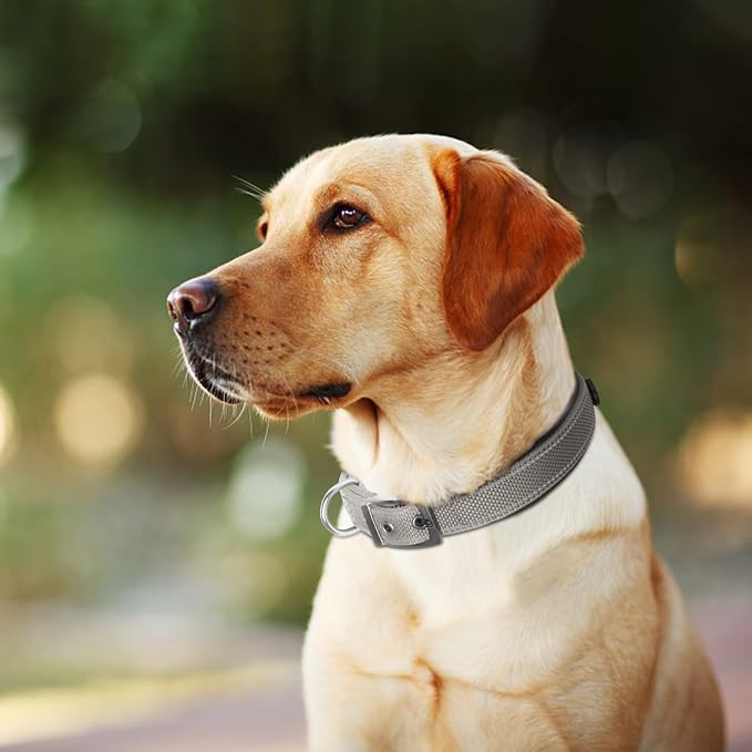 Fida Heavy Duty Dog Collar, Ultra Comfortable Soft Neoprene Padded, Adjustable - Image 7