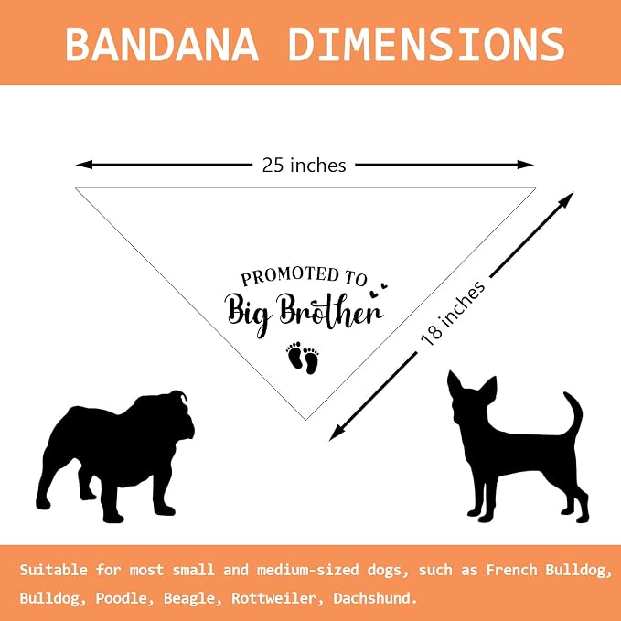 Promoted to Big Brother Pregnancy Announcement Dog Bandana Baby Announcement - Image 2