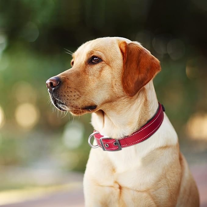 Fida Heavy Duty Dog Collar, Ultra Comfortable Soft Neoprene Padded, Adjustable - Image 7