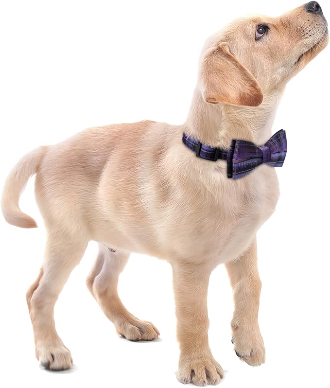 Faleela Soft &Comfy Bowtie Dog Collar, Detachable and Adjustable Bow Tie Collar - Image 5