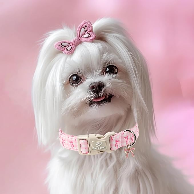 Girl Dog Collar for Small Dogs - Image 2