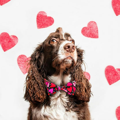 Valentine’s Day Dog Collar Adjustable Puppy Collar - Image 5