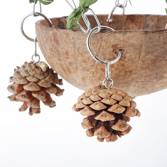 Bird Natural Coconut Nest Sugar Glider Hanging Swing Toy - Image 6