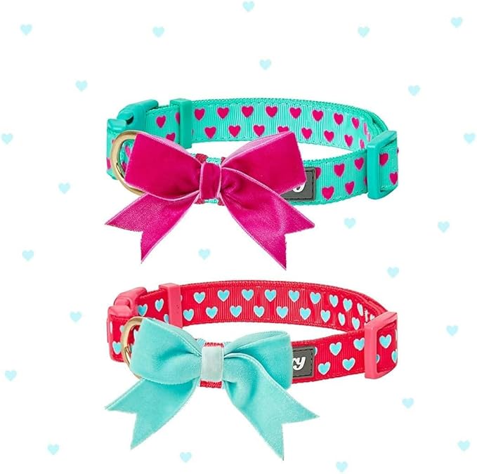 Blueberry Pet Adjustable Flocking Dog Collar - Image 4