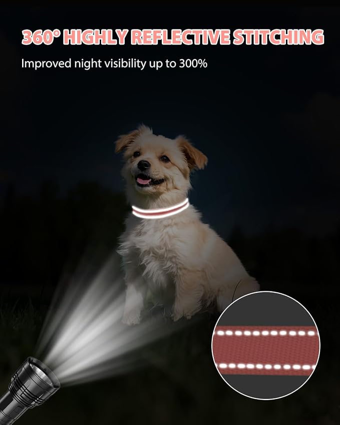 Joytale Small Dog Collar, Reflective and Adjustable Nylon Collar - Image 5