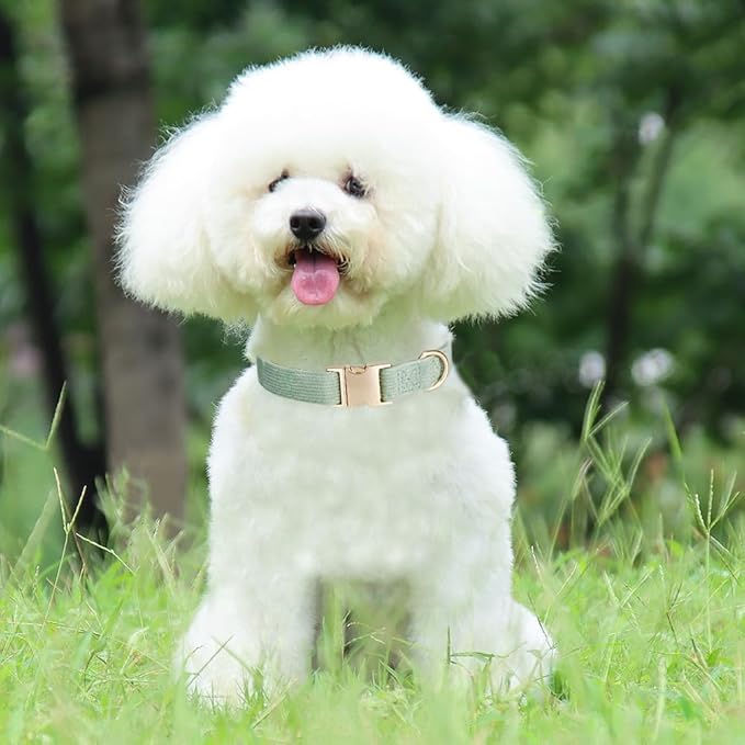 Soft Cotton Dog Collar with Metal Buckle Adjustable Heavy Duty Comfy Corduroy - Image 6