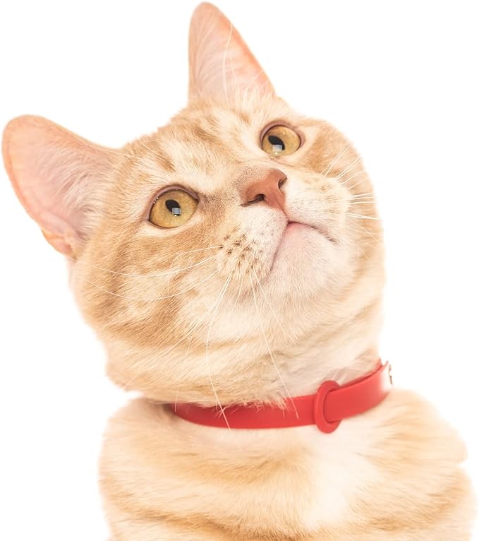 Red Cat Collar - Soft, Comfortable, and Lightweight Breakaway Collar - Image 5