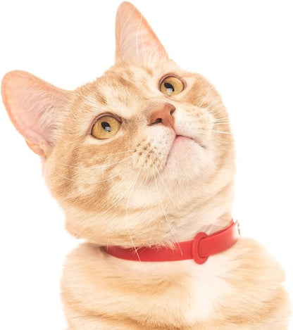 Red Cat Collar - Soft, Comfortable, and Lightweight Breakaway Collar - Image 5