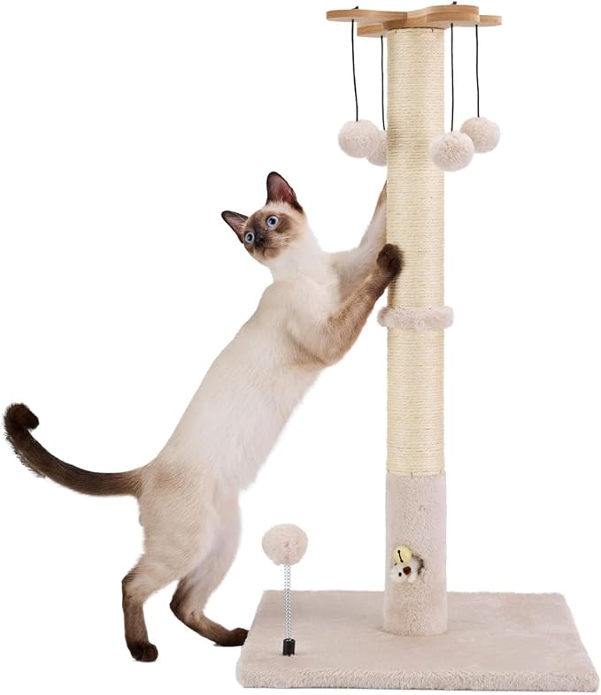 PAWSFANS Cat Scratching Post for Indoor Cats and Kittens, 30inches Tall Sisal - Image 8