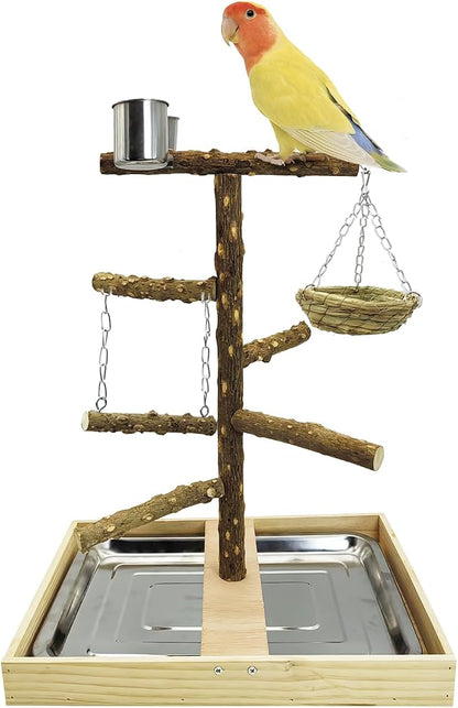 Tfwadmx Bird Perch Natural Wood Stand Toy Parrot Play Stand Platform and by Tfwadmx