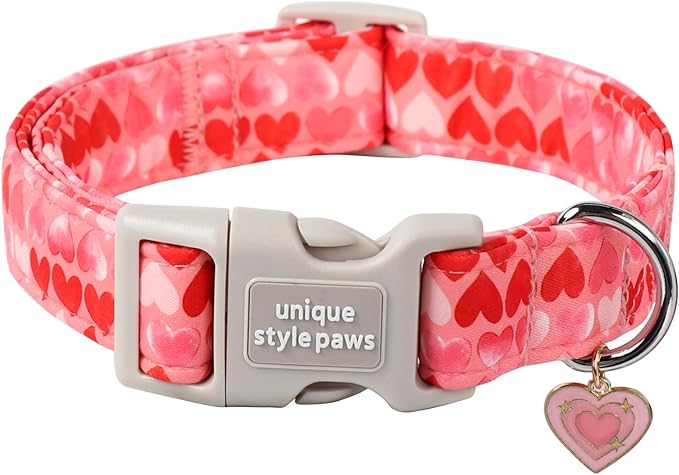 Unique style paws Valentine's Day Dog Collar Plastic Buckle Collar by Uniquestylepaws