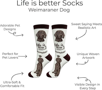 E&S Pets Pet Lover Socks - Image 2
