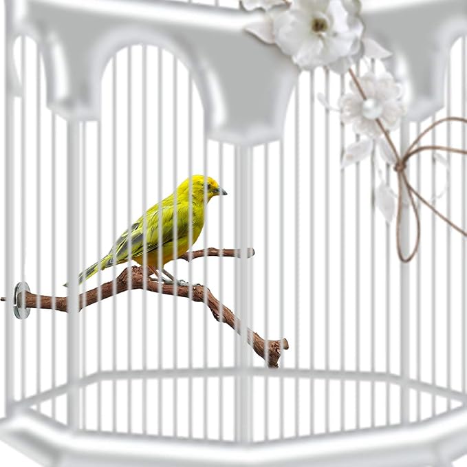 PINVNBY Parrot Perches Natural Birds Stand Wild Grape Stick Grinding Paw - Image 6