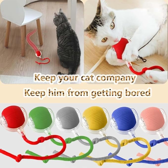 Interactive Cat Toys for Indoor Cats, Agility Move Cat Balls, Motion Activated - Image 5
