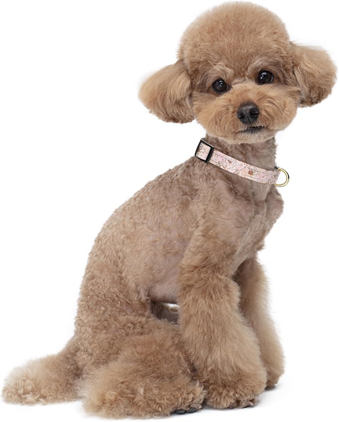 Reflective Dog Collar for Small Dogs, Cute Flower Theme Adjustable Heavy-Duty - Image 2