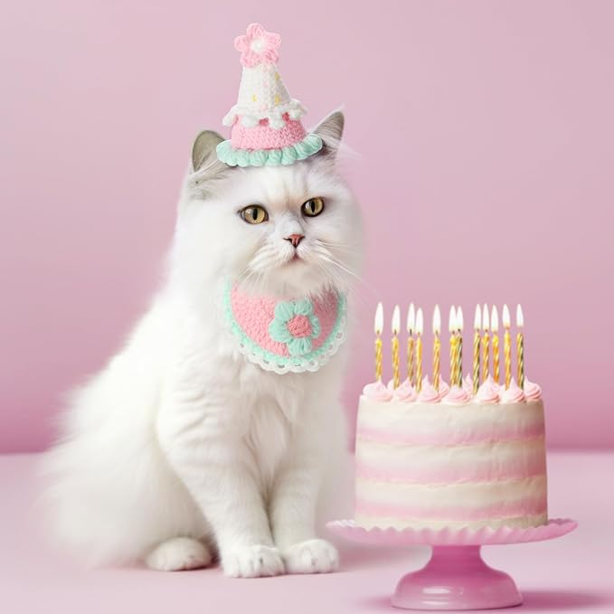 Sanwuta 2 Pcs Cat Birthday Party Supplies, Knit Cat Hat Kitten Birthday Bib - Image 5
