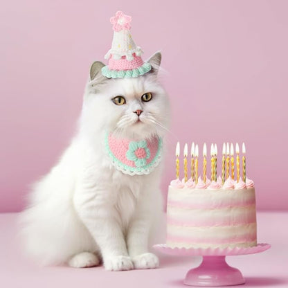 Sanwuta 2 Pcs Cat Birthday Party Supplies, Knit Cat Hat Kitten Birthday Bib - Image 5