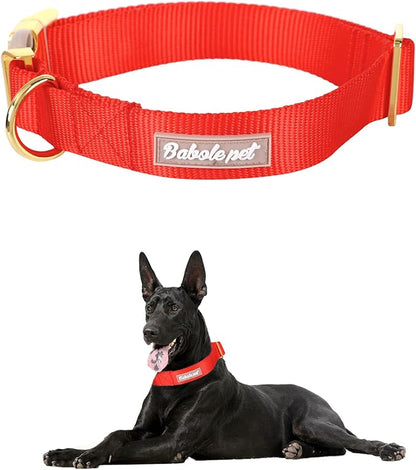 Nylon Dog Collar - Image 2