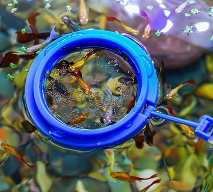 Coral Reef Grabber, Coral Feeder, Aquarium Veggie Feeder, Fish Tank Food Clip - Image 6