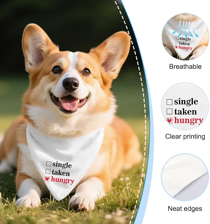 Funny Valentine's Day Dog Bandana, Single Taken Hungry Checklist Dog Bandana - Image 3