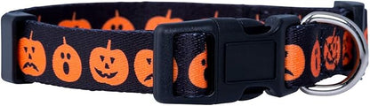 Native Pup Halloween Dog Collar- Spooky Fall Themed Horror Costume Collars- by NativePup