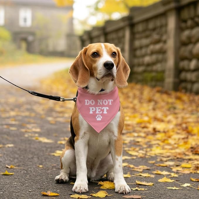 E61 Dog Triangle Scarf - Image 5
