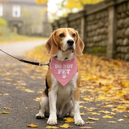 E61 Dog Triangle Scarf - Image 5
