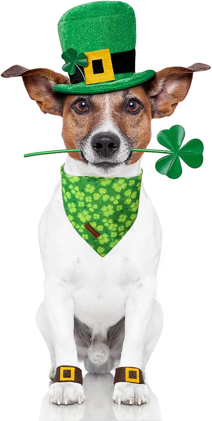 ARING PET St Patrick's Dog Bandana 2 Pack-Green Clovers Dog Bandanas, - Image 6